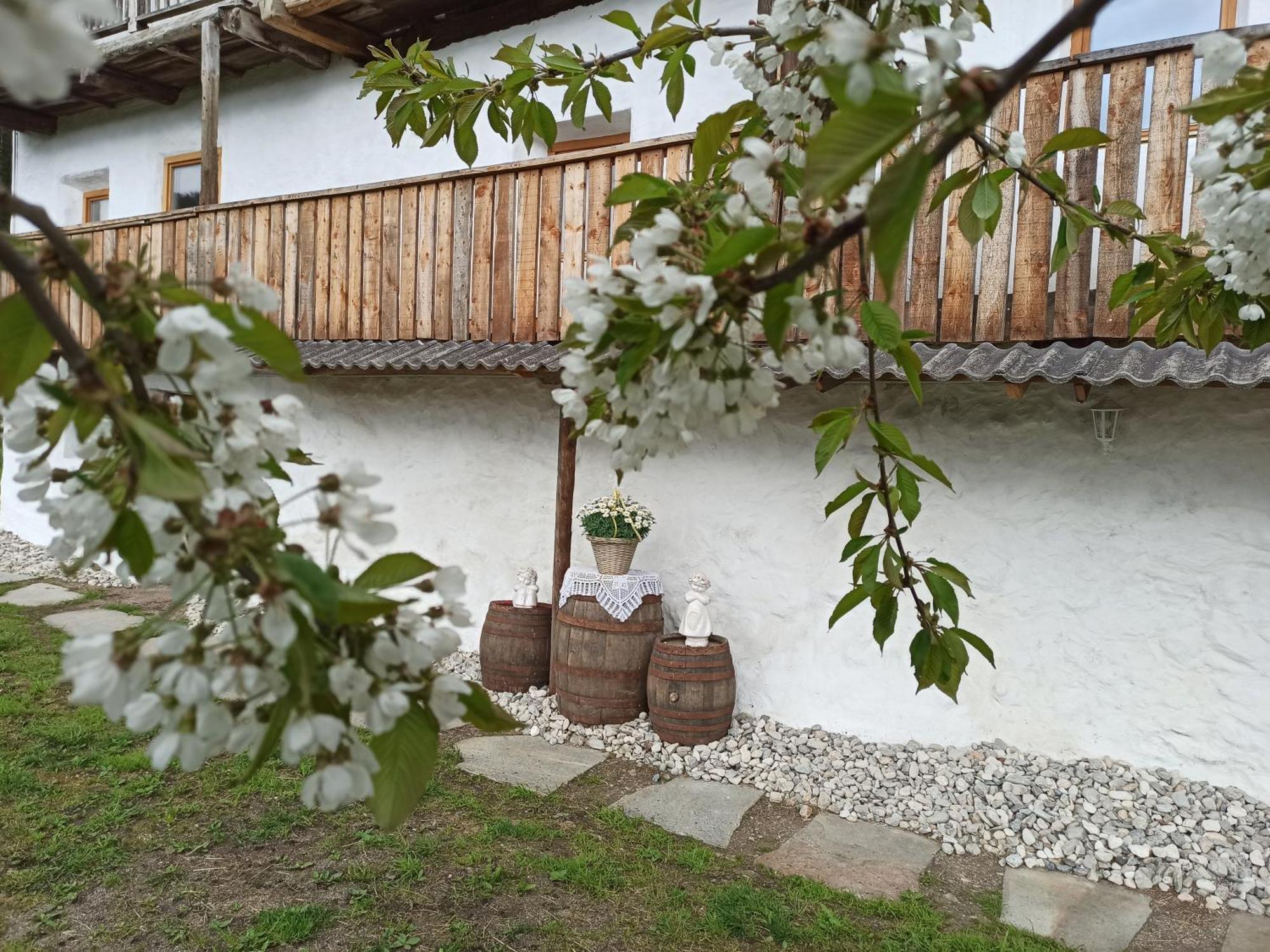 Natur Appartments Riesen San Lorenzo di Sebato Exterior photo