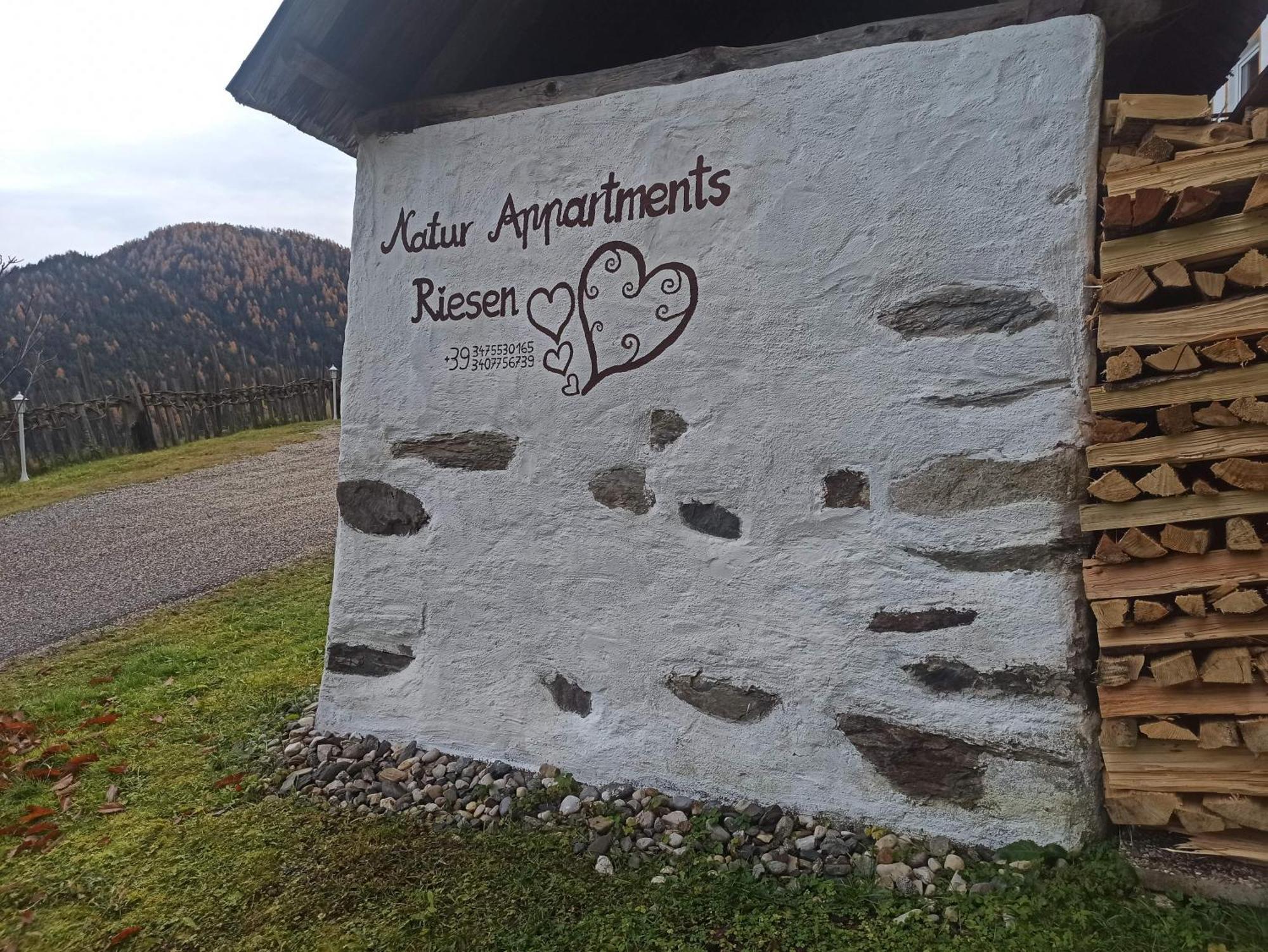 Natur Appartments Riesen San Lorenzo di Sebato Exterior photo