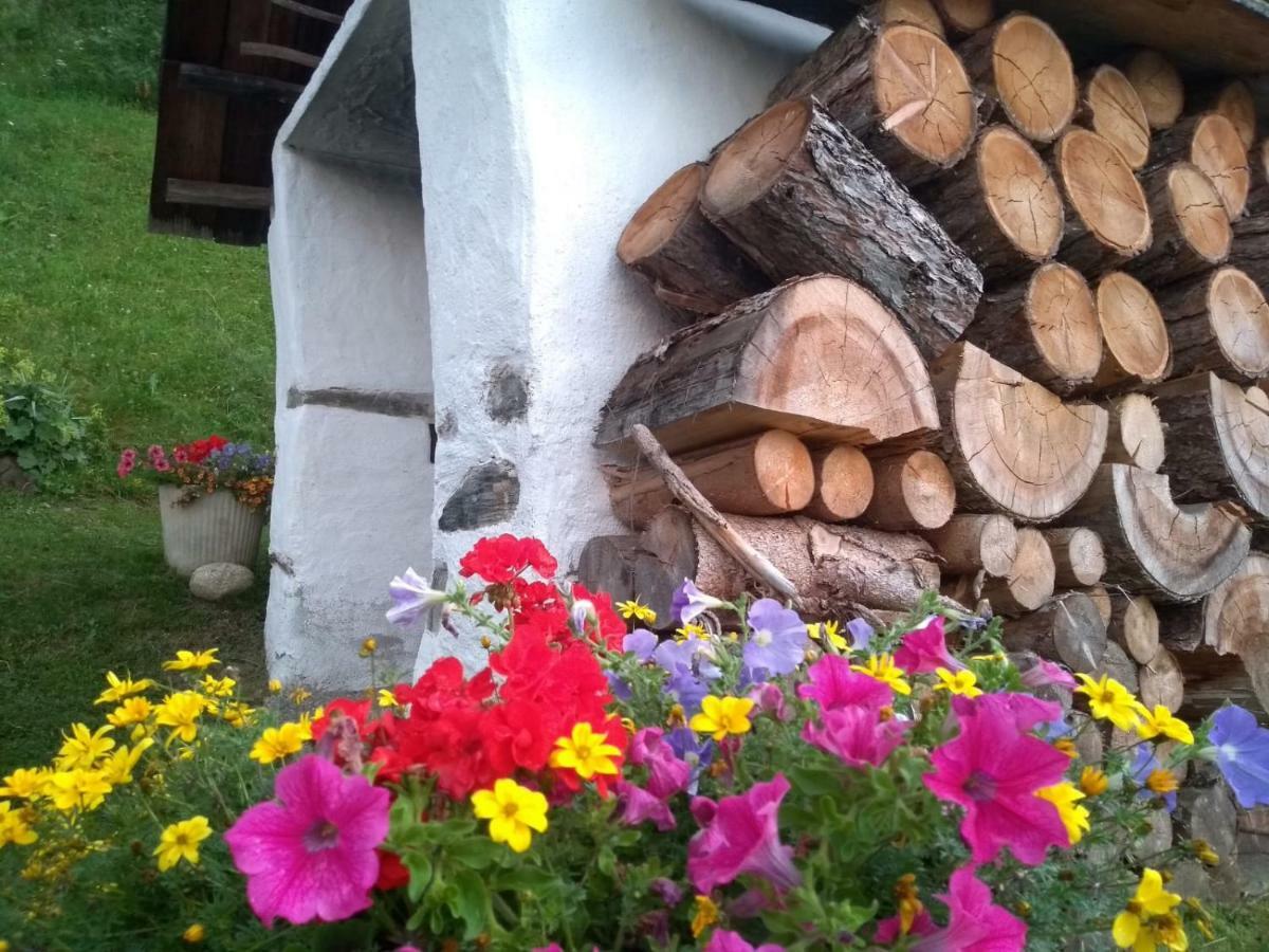 Natur Appartments Riesen San Lorenzo di Sebato Exterior photo